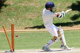 Online Cricket ID: Betting on Cricket Skill-Based Competitions